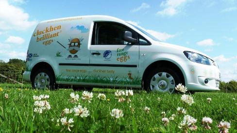 Cluckhen Brilliant van